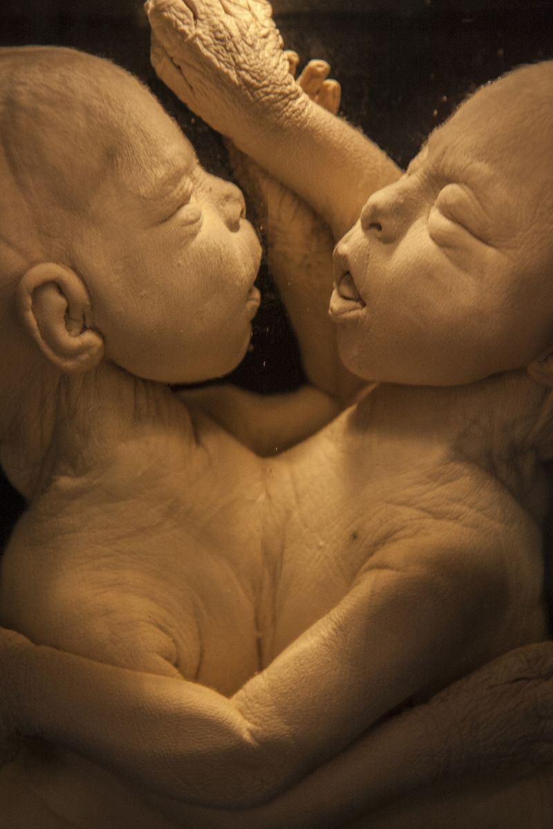 © SPIROS ZERVOUDAKIS - Image from the Here be Dragons photography project