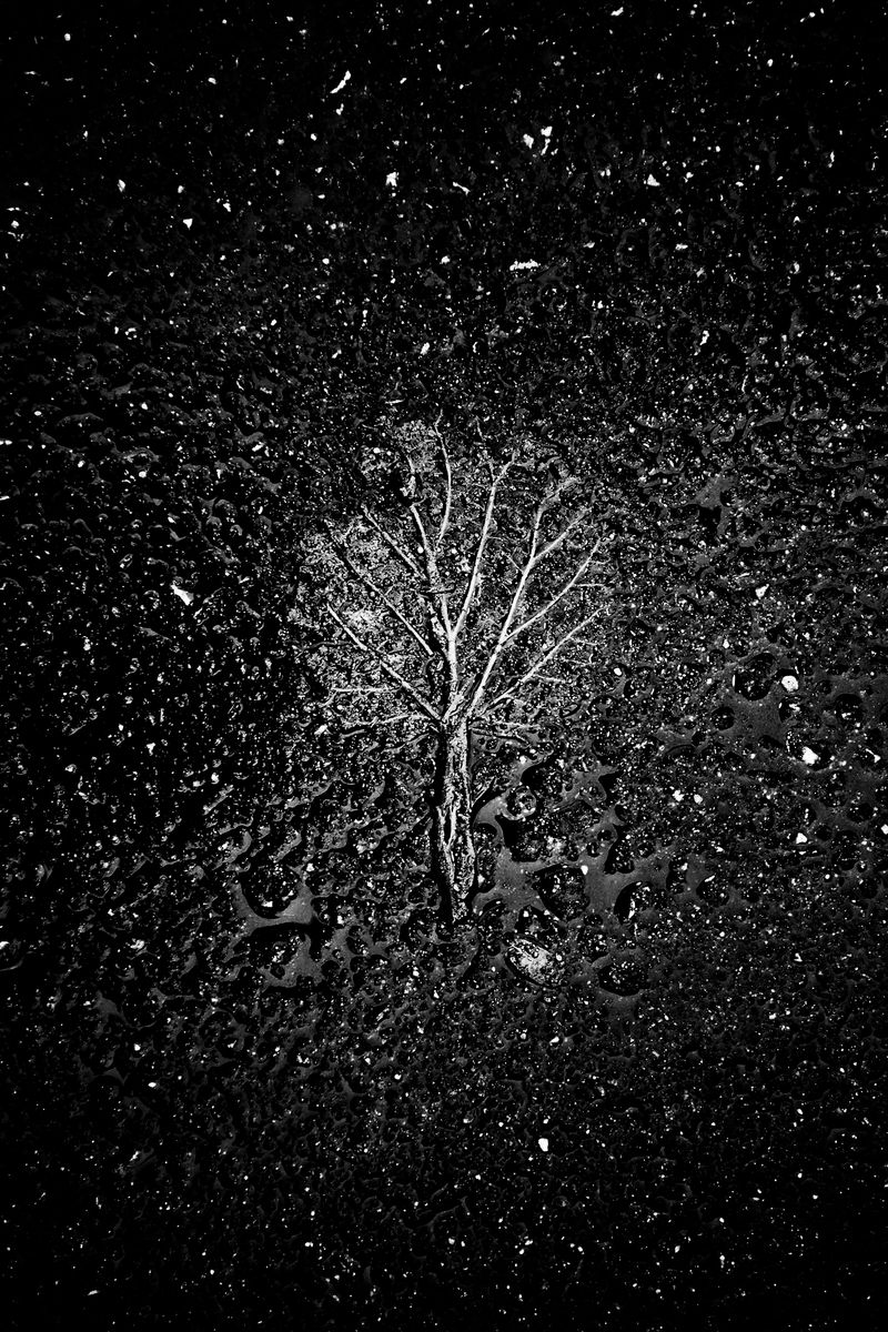 © SPIROS ZERVOUDAKIS - Image from the Here be Dragons photography project