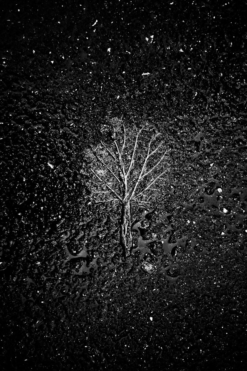 © SPIROS ZERVOUDAKIS - Image from the Here be Dragons photography project