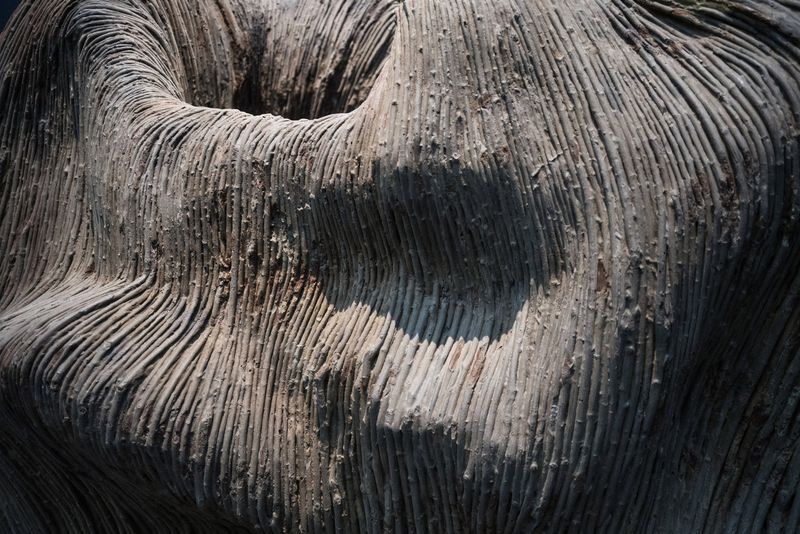 © SPIROS ZERVOUDAKIS - Image from the Here be Dragons photography project
