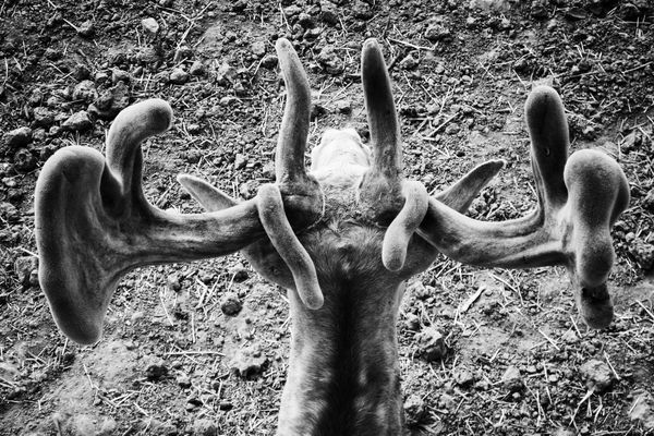 © SPIROS ZERVOUDAKIS - Image from the Here be Dragons photography project