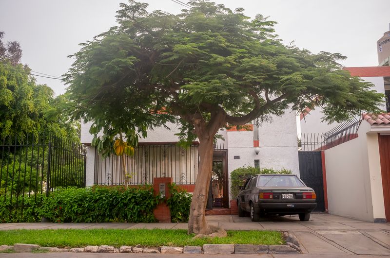 © Rochi  Leon - Image from the Empty House photography project