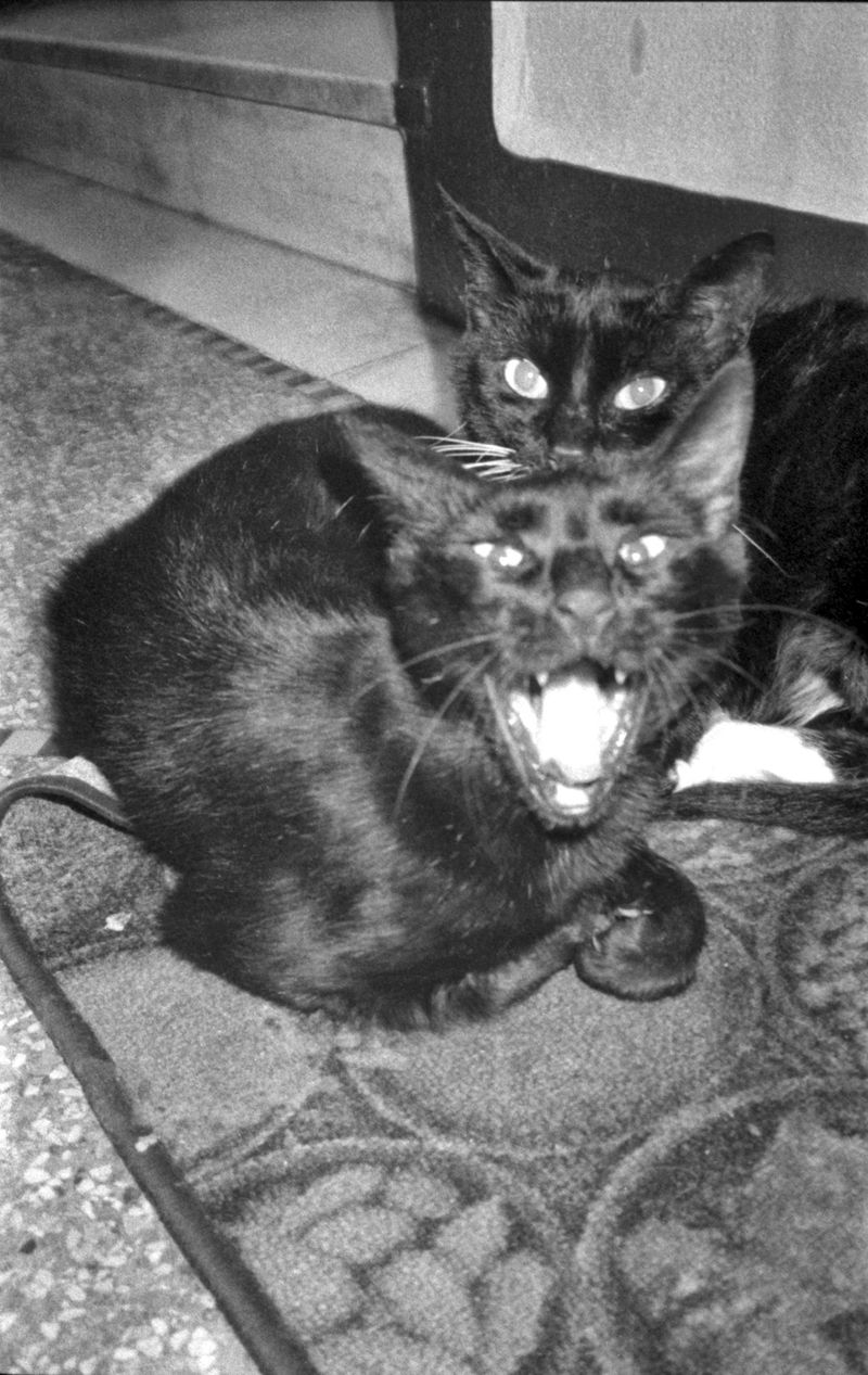 © Abdo Shanan - Image from the Dry photography project