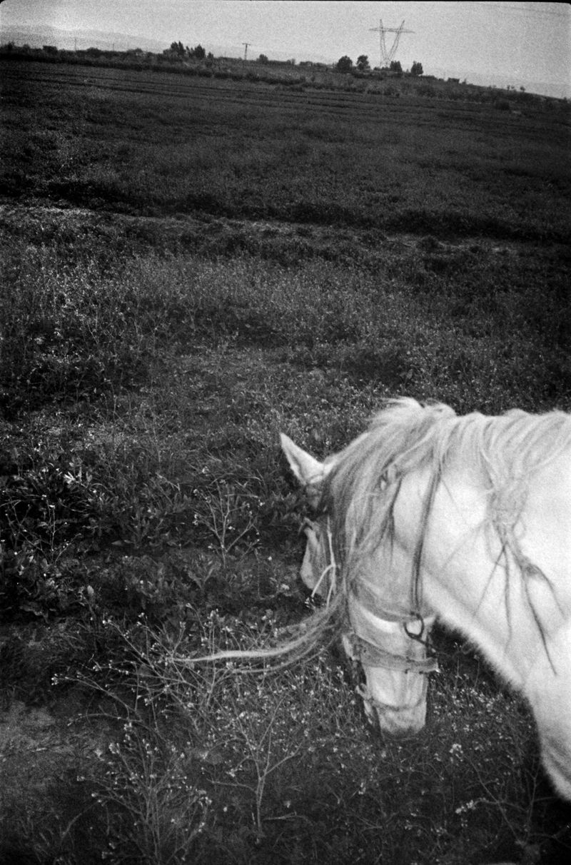 © Abdo Shanan - Image from the Dry photography project