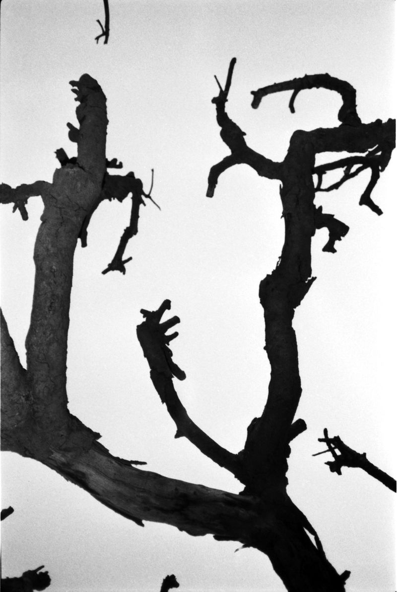 © Abdo Shanan - Image from the Dry photography project