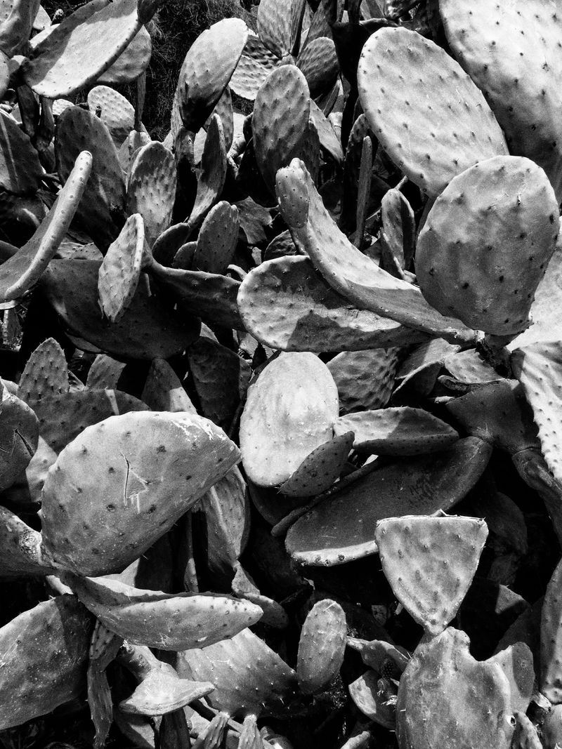 © Abdo Shanan - Image from the A little louder photography project