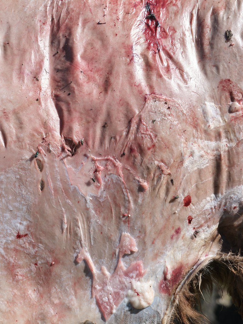 © Tiya Xu - Image from the As Night Moves Through the Valley photography project