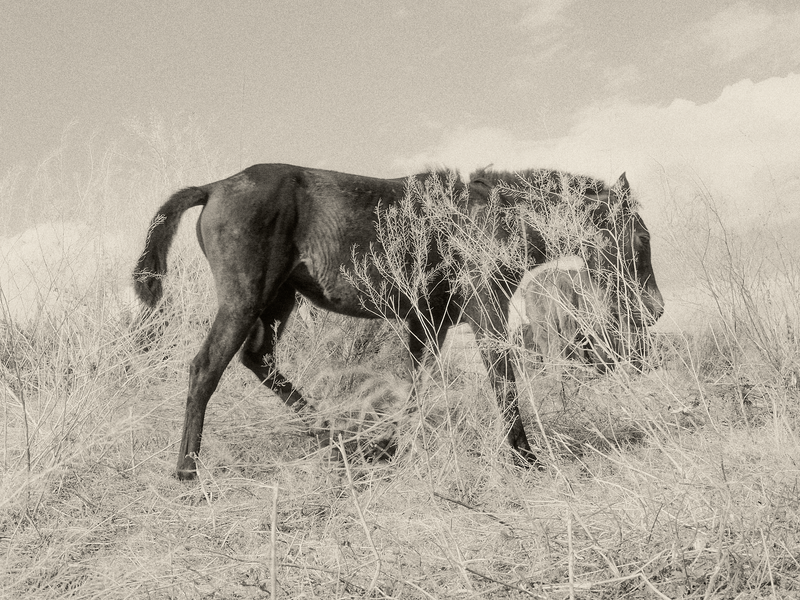 © Tiya Xu - Image from the As Night Moves Through the Valley photography project