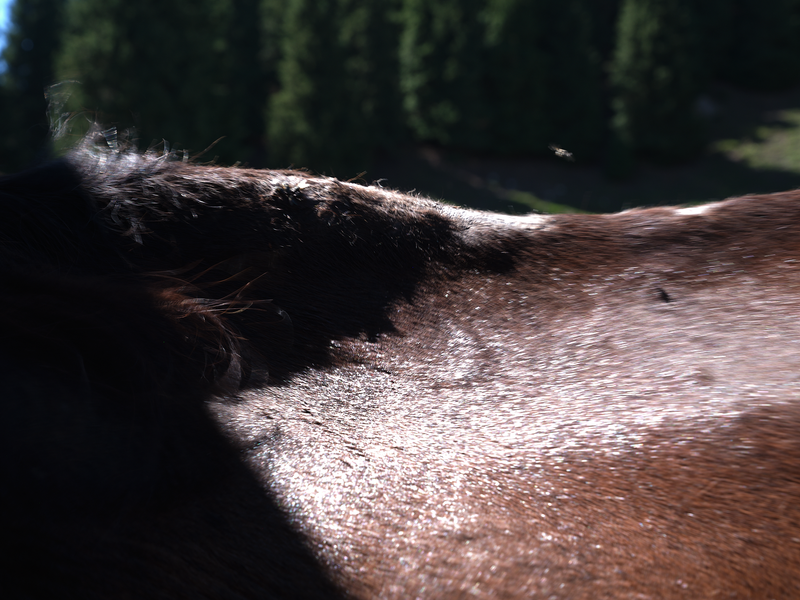 © Tiya Xu - Image from the As Night Moves Through the Valley photography project