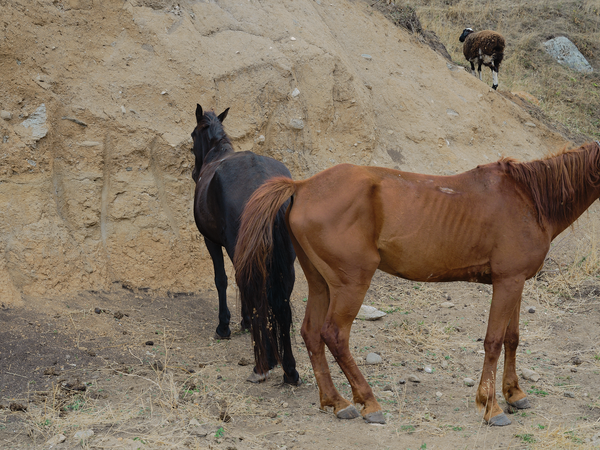 © Tiya Xu - Image from the As Night Moves Through the Valley photography project