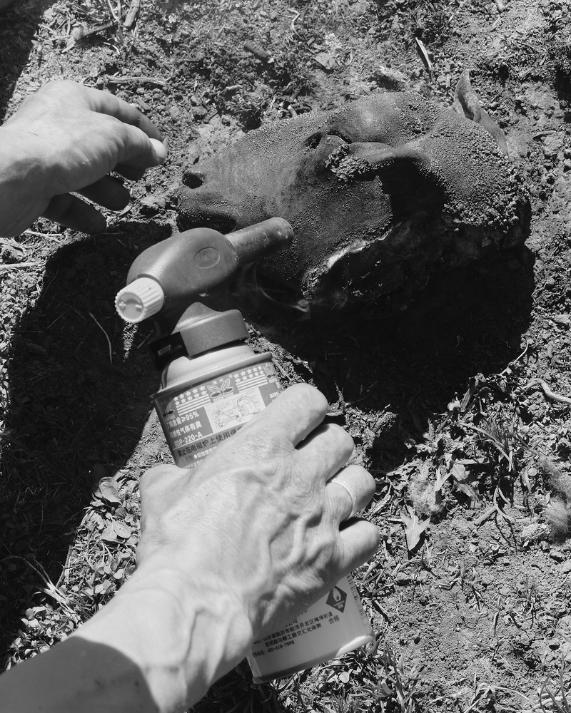 © Tiya Xu - Image from the As Night Moves Through the Valley photography project