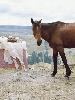As Night Moves Through the Valley
