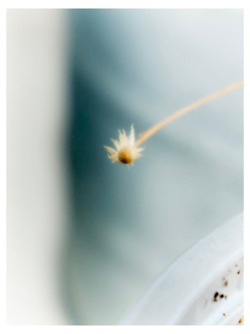 © Tiya Xu - Image from the Illuminance photography project