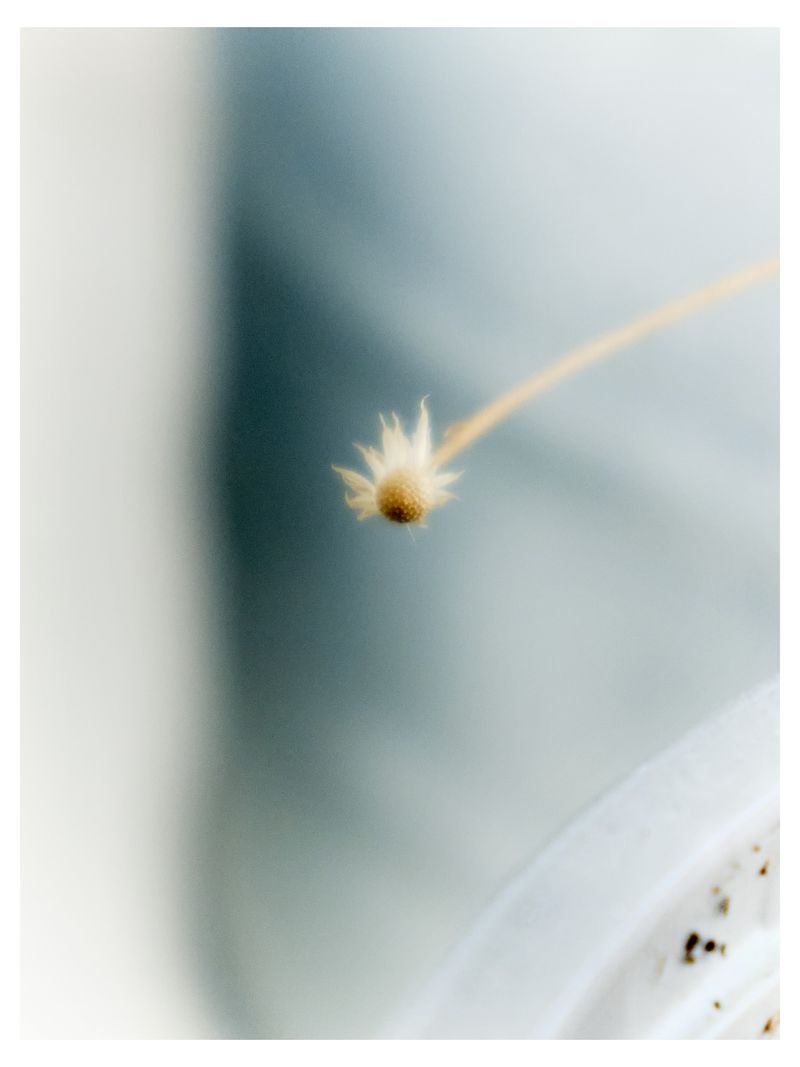 © Tiya Xu - Image from the Illuminance photography project