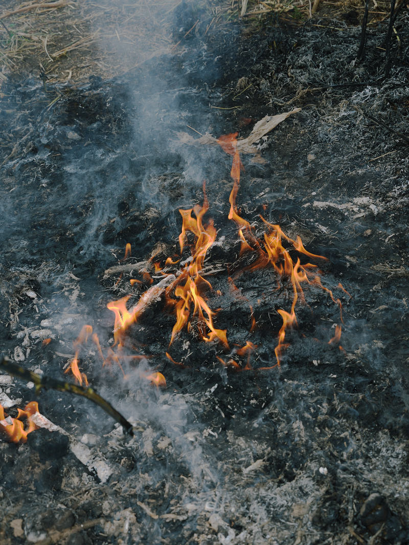 © Tiya Xu - Image from the Fade away pastoral photography project