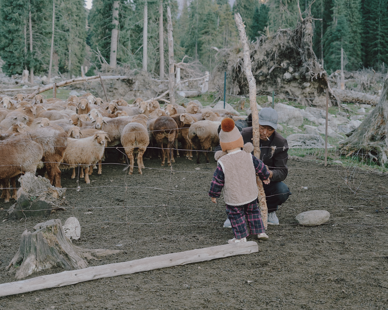 © Tiya Xu - Image from the Fade away pastoral photography project