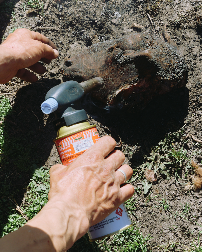 © Tiya Xu - Image from the Fade away pastoral photography project