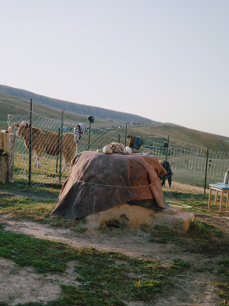 © Tiya Xu - Image from the Fade away pastoral photography project