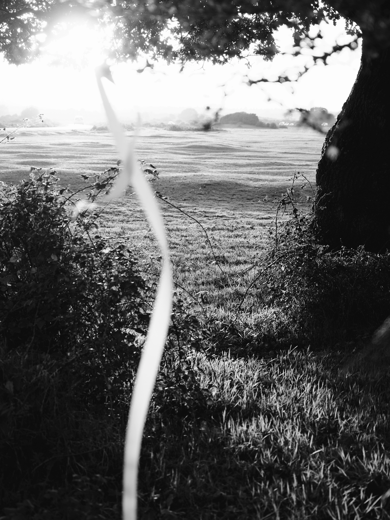 © Tiya Xu - Image from the Girls, A Jetta, and the Open Road photography project