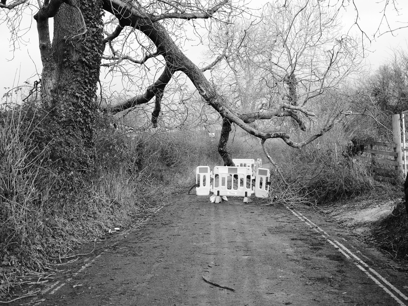 © Tiya Xu - Image from the Girls, A Jetta, and the Open Road photography project