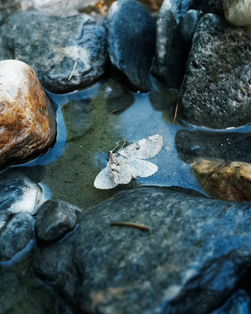 © Tiya Xu - Image from the Girls, A Jetta, and the Open Road photography project