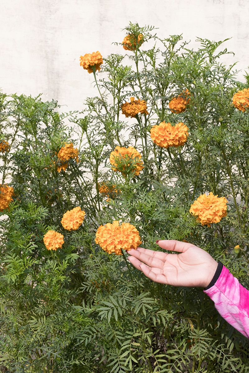 © Jocelyn Allen - Gloria's Hand