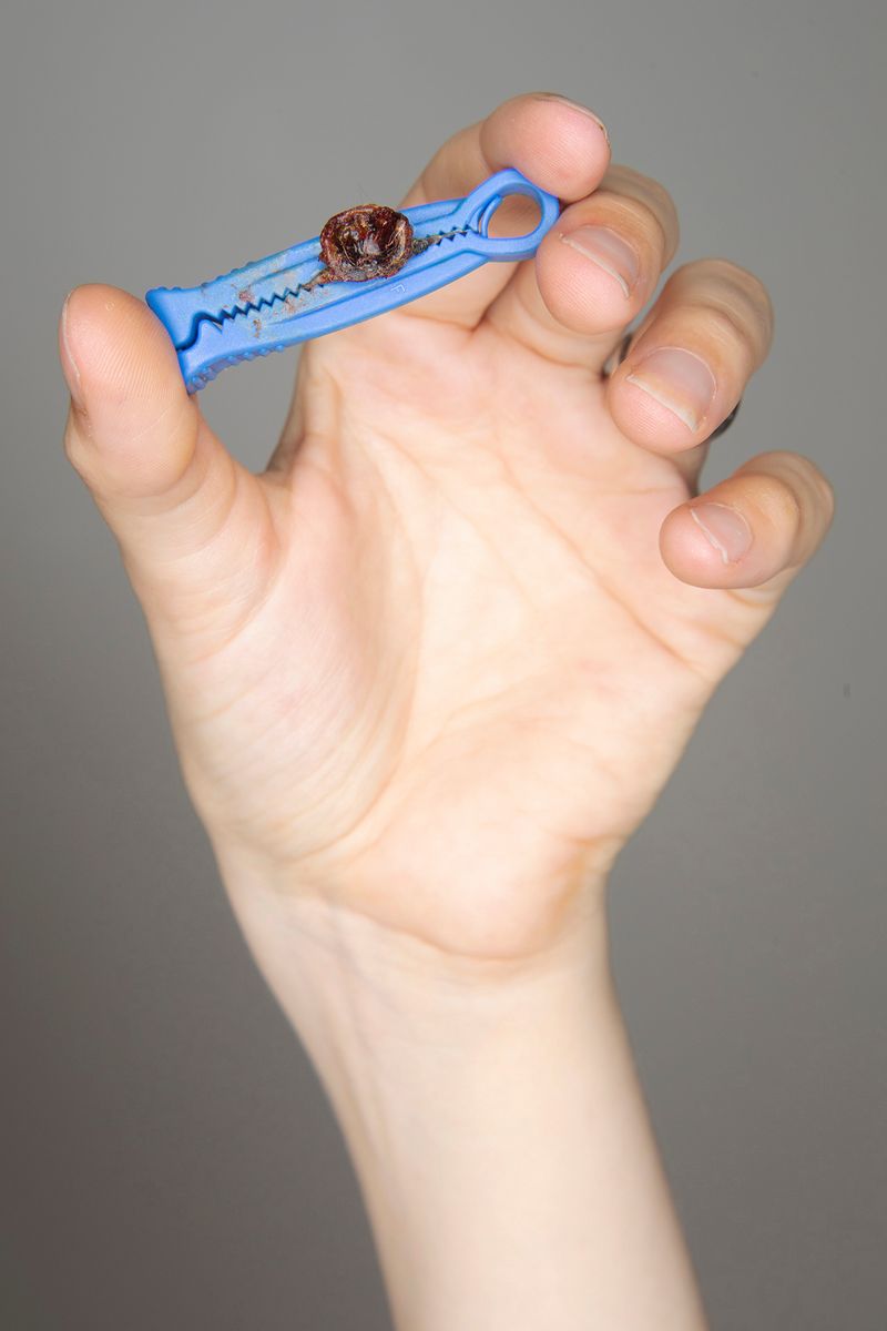 © Jocelyn Allen - Image from the Waiting For Things In A Time When You Rarely Wait For Things photography project