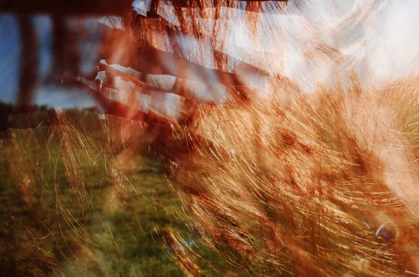 © Victoria Dini - Image from the Aut Splash photography project