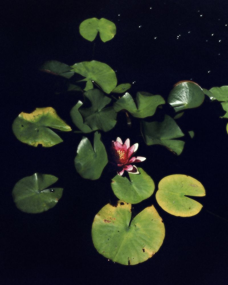 © Nina Tanujaya - Image from the Sisa Masa photography project