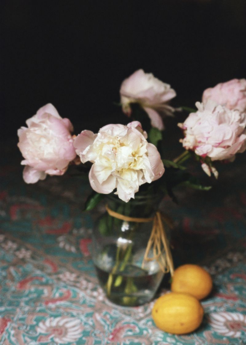 © Nina Tanujaya - Image from the Steamed Fish photography project