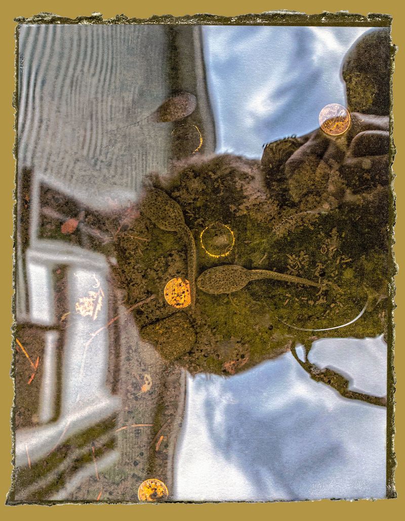 © Natalia L Rudychev - Image from the Facing Time Together photography project