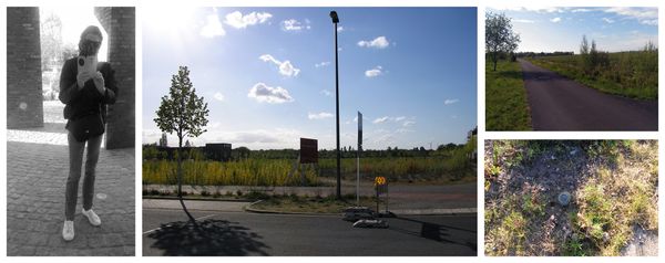 © B a r b a r a Schneider - Image from the ARTificial Nature or URBANISM photography project