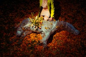 Evolution and Other Stories