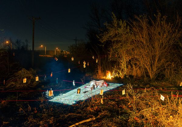 © Jack Holly - Image from the Evolution and Other Stories photography project