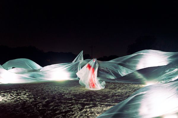 © Jack Holly - Image from the Evolution and Other Stories photography project