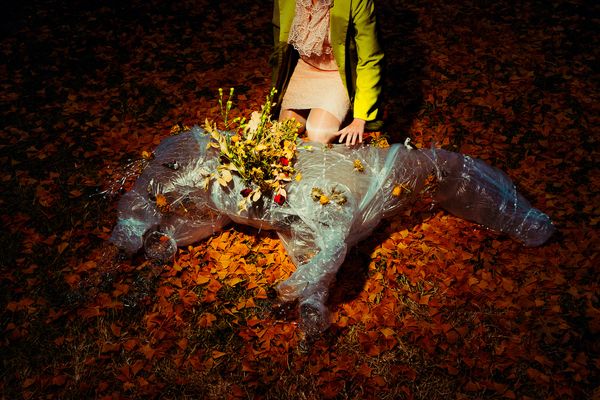 © Jack Holly - Image from the Evolution and Other Stories photography project