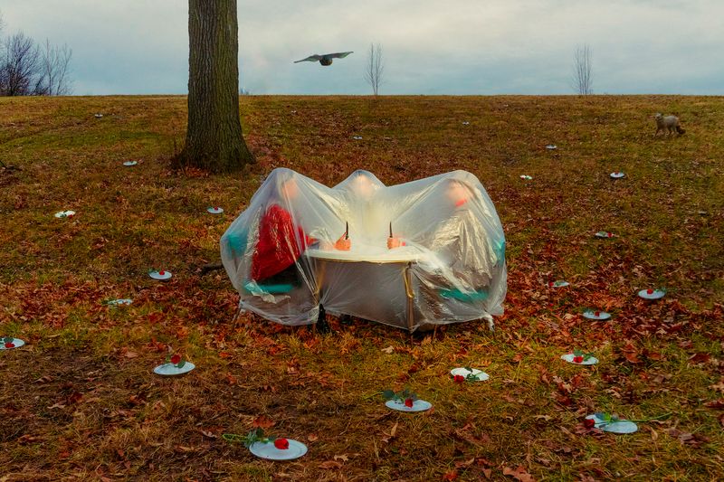 © Jack Holly - Image from the Evolution and Other Stories photography project