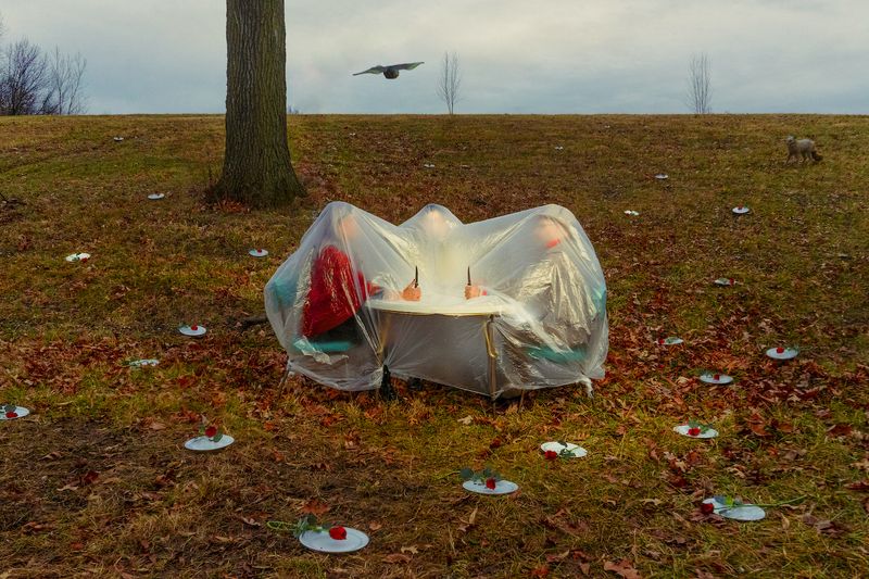 © Jack Holly - Image from the Evolution and Other Stories photography project