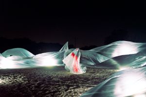 Evolution and Other Stories