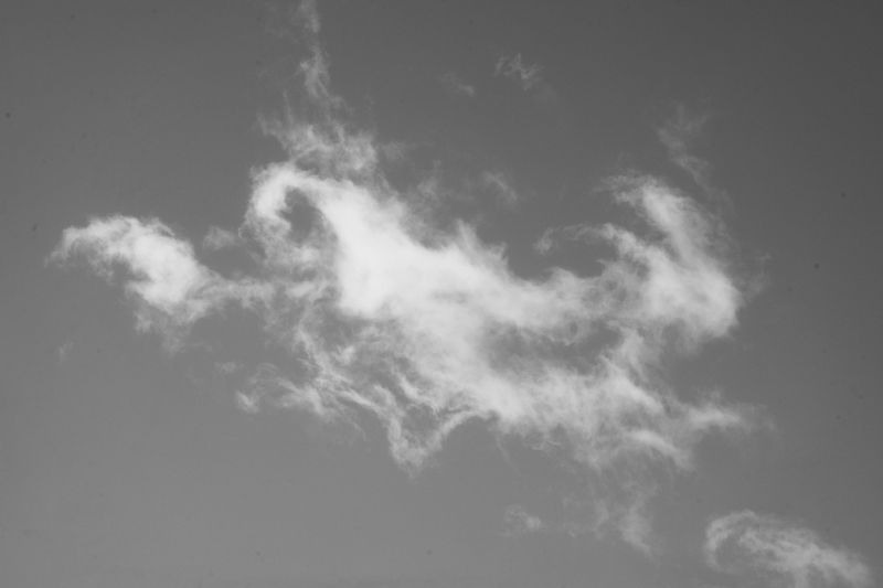 © Sasha Casta Williams - Image from the Can we find frogs to keep? photography project