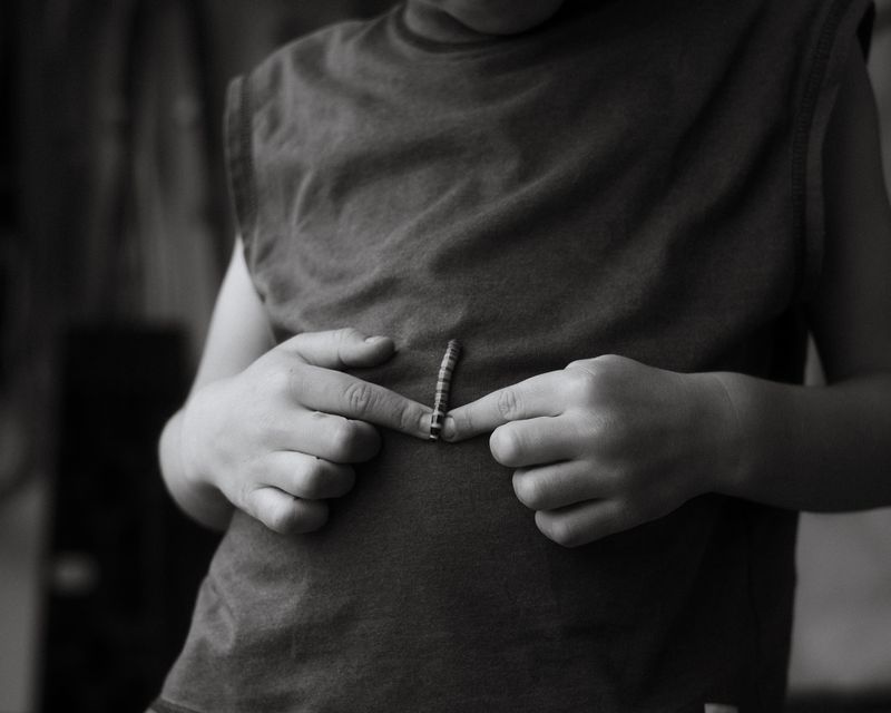 © Sasha Casta Williams - Image from the Can we find frogs to keep? photography project