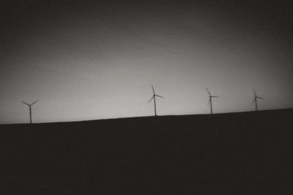 © Sasha Casta Williams - Image from the Can we find frogs to keep? photography project