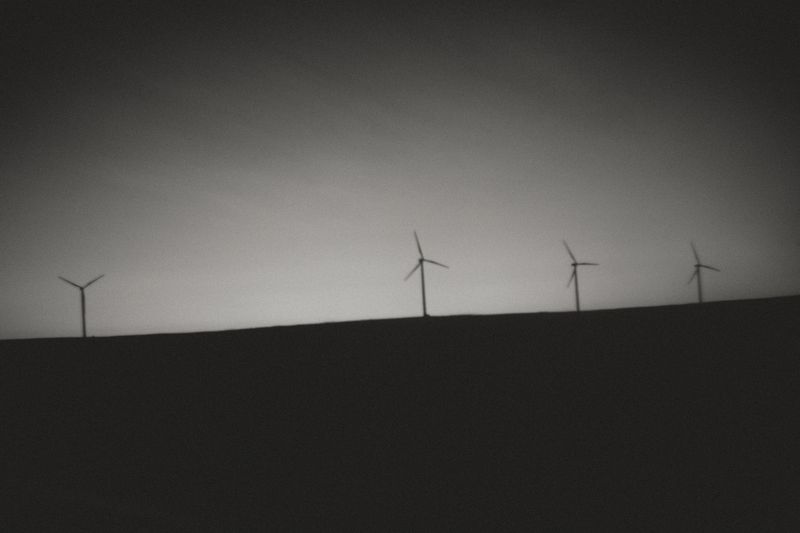 © Sasha Casta Williams - Image from the Can we find frogs to keep? photography project
