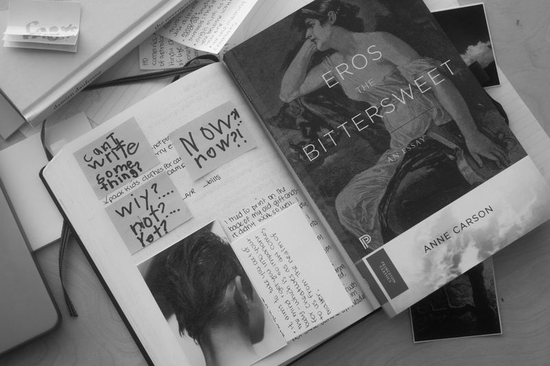 © Sasha Casta Williams - Image from the Can we find frogs to keep? photography project
