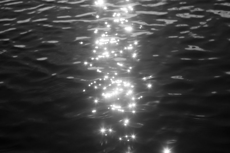 © Sasha Casta Williams - Image from the Can we find frogs to keep? photography project