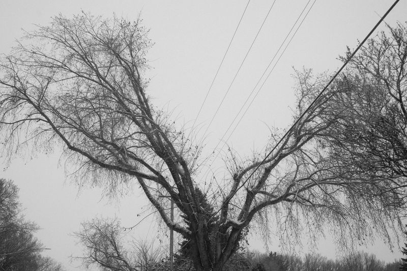 © Sasha Casta Williams - Image from the Can we find frogs to keep? photography project