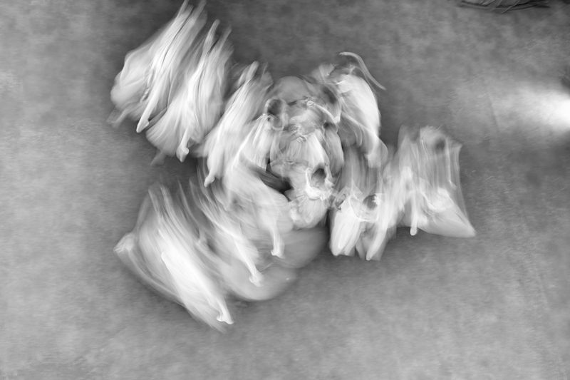 © Manuela Vaz Marques - Image from the Dancing Memory photography project