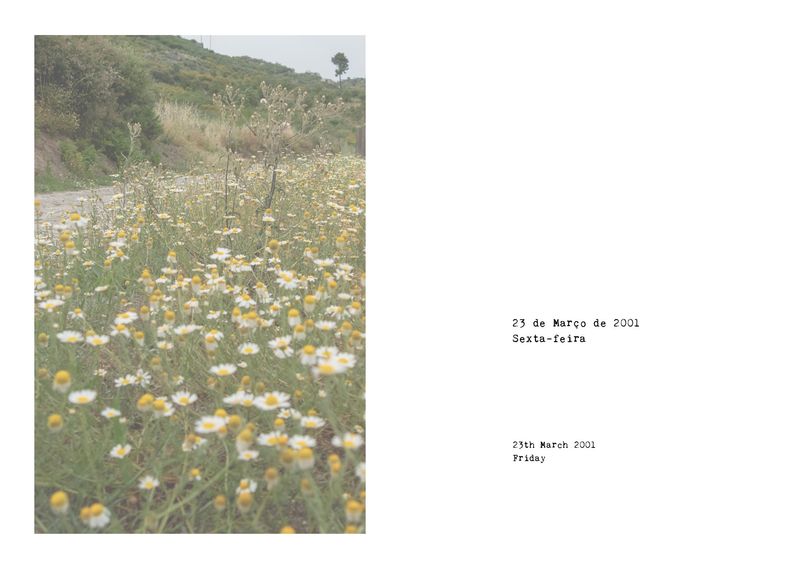 © Manuela Vaz Marques - Image from the Cortinas de Seda / Silk Veils photography project