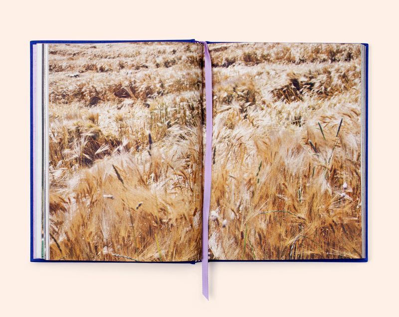 Image from a project on PhMuseum