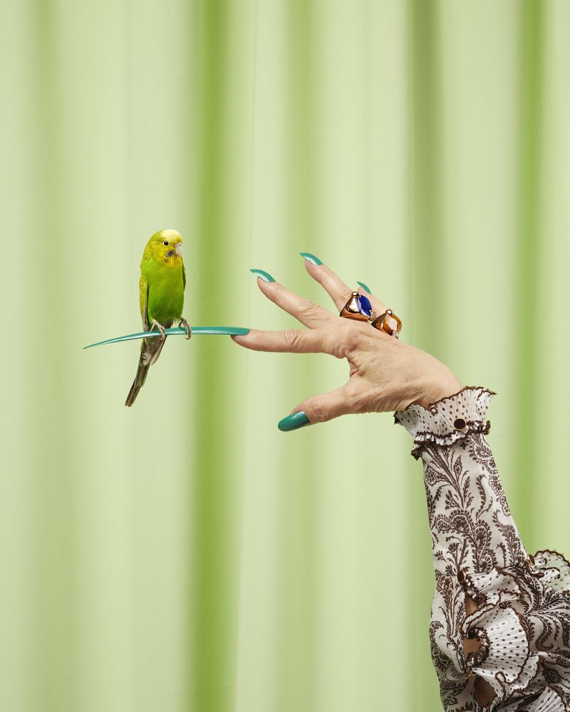 © Aleksandra Kingo - Image from the Nailed It photography project